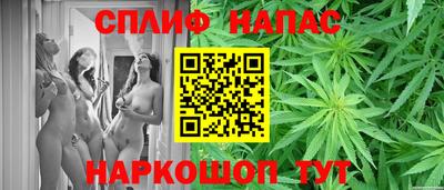 apvp Кудрово