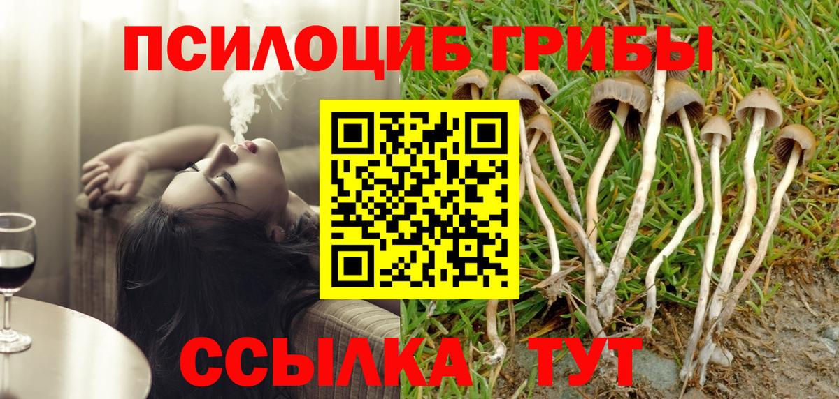 Псилоцибиновые грибы ЛСД Кировск