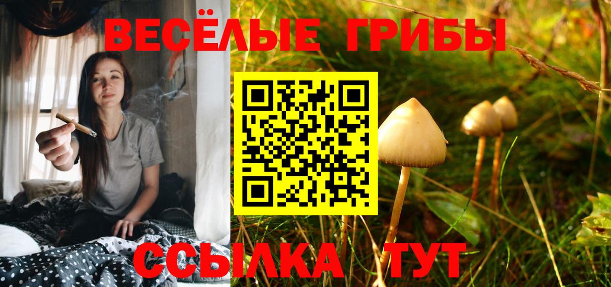 Псилоцибиновые грибы мухоморы  Галлюциногенные грибы прущие грибы  Кировск  Вход с VPN 