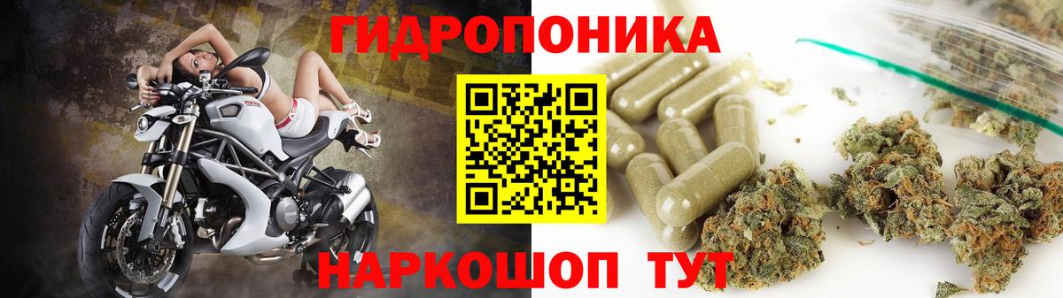 Конопля конопля  Конопля марихуана  Кировск  Вход с VPN 